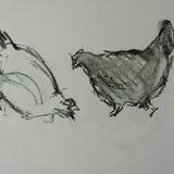 The Hens of Stamford Hill 4