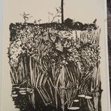 River Deben: reflections