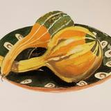 Squashes on a Russian plate