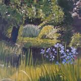 Summer  in my Suffolk Garden