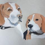 Beagles