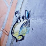 Great tit fledgeling