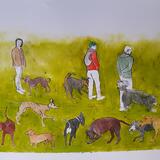 Dogs don't socially distance