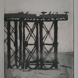 Cormorants and Kittiwakes