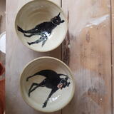 Black Shuck bowls