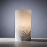 stand alone natural edge table lamp