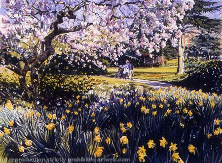 Magnolia, Ruskin Park