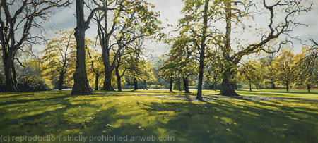 November morning, St James's Park