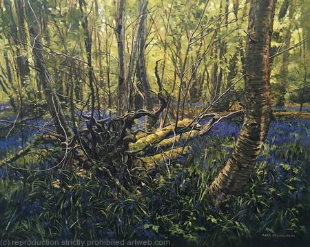 Uprooted, Bluebell woods. Rusper