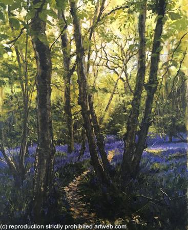 Bluebell woods, Rusper