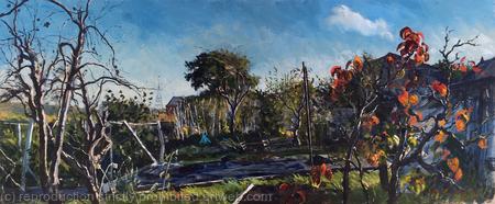 Autumn afternoon, Rosendale allotments