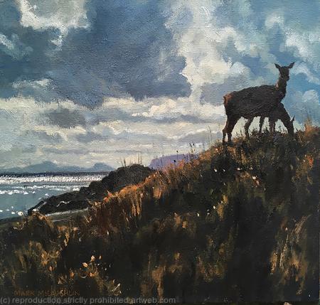 Red Deer, Loch Coruisk. Isle of Skye