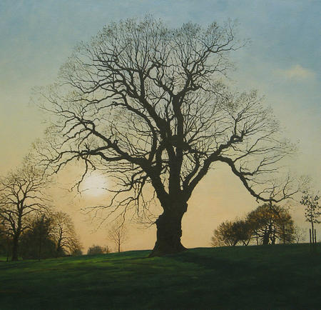 Spring Oak, Brockwell Park.