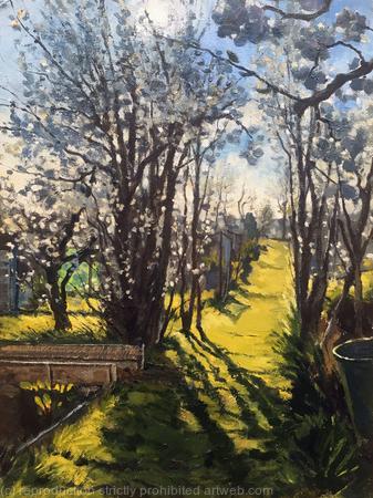 Spring afternoon at Rosendale allotments