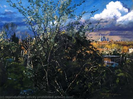 View from Rosendale allotments