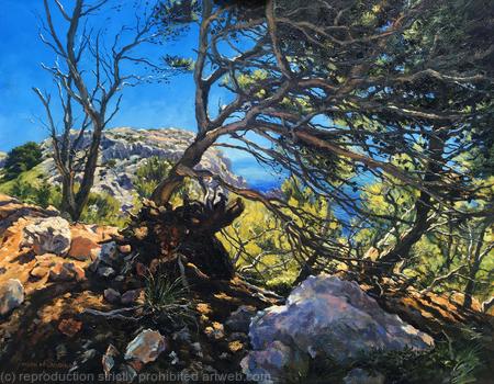 Mallorcan  Landscape, on the road to Formentor