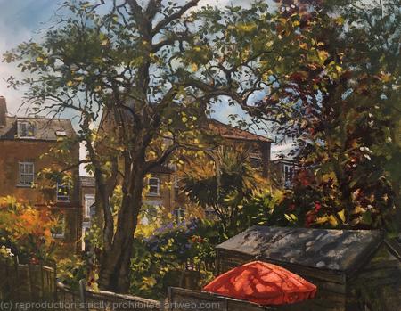 Garden view, morning light