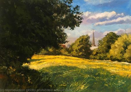 Wild flower meadow field, Brockwell Park