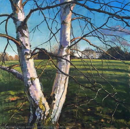 Silver birches, late afternoon. Brockwell Park