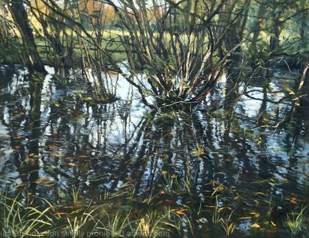 Flooded woods, autumn afternoon. Belair Park