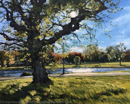 November morning, Clapham Common