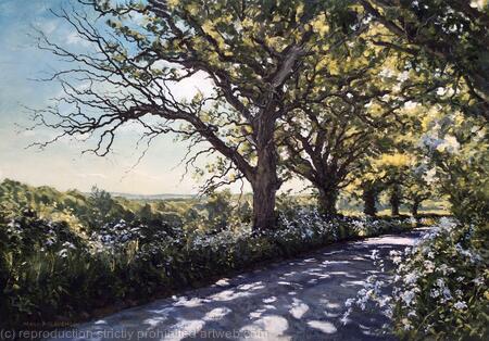 Oaks in Spring morning light. Rusper