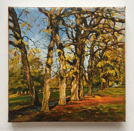 Chestnut walk, Ruskin Park