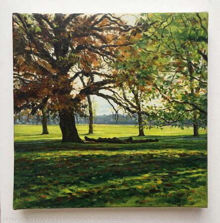 Turkey Oak, Ruskin Park