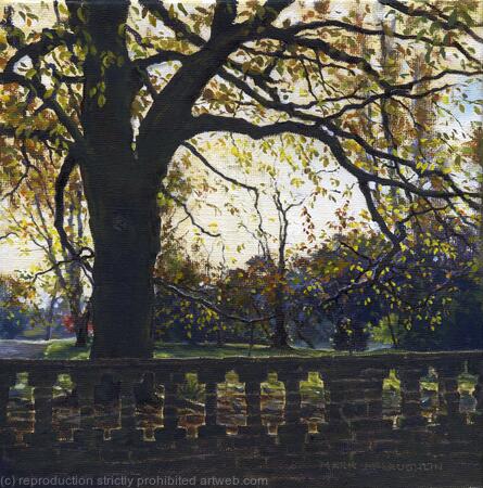 Afternoon light, Ruskin Park