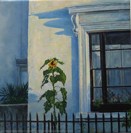 Winter sunflower, Southwell road SE5