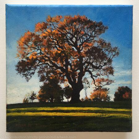 Autumn Oak, Brockwell Park