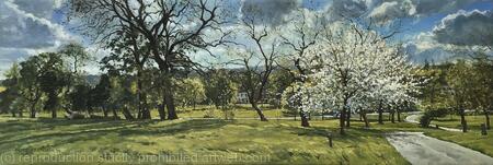 Spring light, Brockwell Park