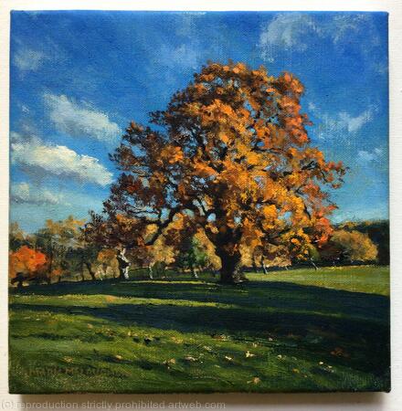Autumn Oak, late afternoon. Brockwell Park