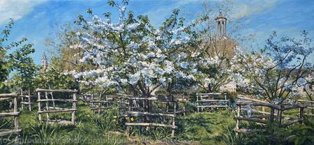 Brixton Orchard, spring blossom.