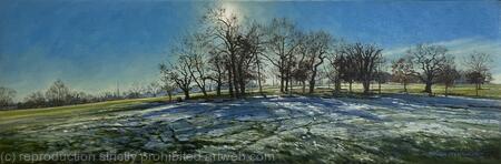 Morning frost, Brockwell Park.