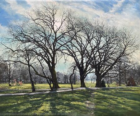 Winter morning, Wandsworth Common.