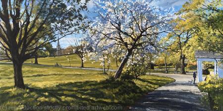 Spring morning blossom, Brockwell Park