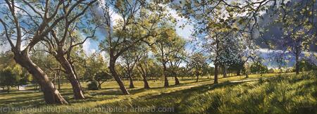 Brockwell Park, spring afternoon.