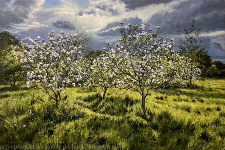 Between the showers, Dulwich Orchard.