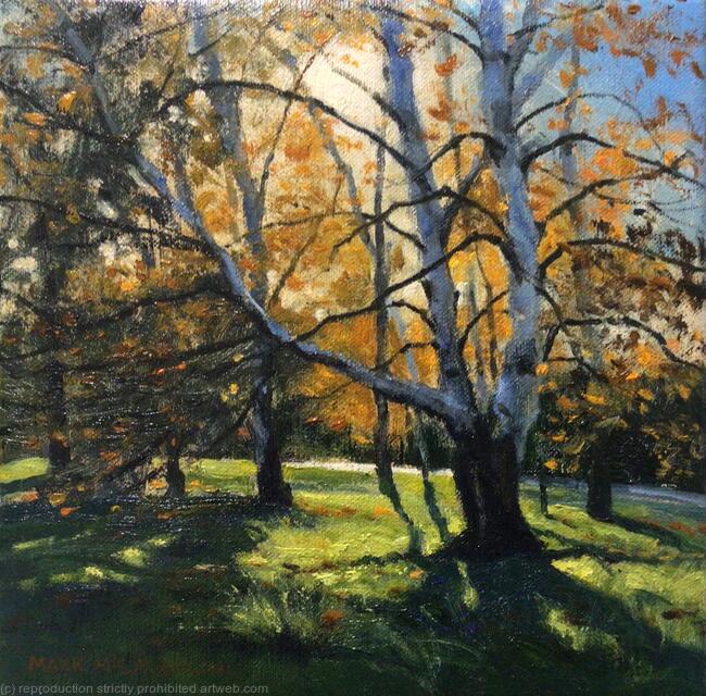 Autumn silver birches, Brockwell Park