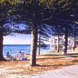 Summer evening, Cottesloe, WA