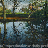Autumn Reflections. Belair Park West Dulwich