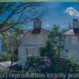 Spring Morning, Brighton