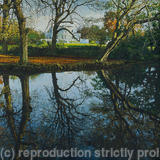 Autumn Reflections, Belair Park