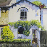 White Cottage, Camberwell