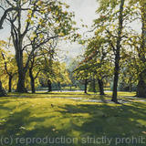 November morning, St James's Park