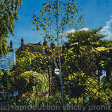 October light. West Dulwich