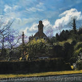 Spring morning, Chipstead Valley