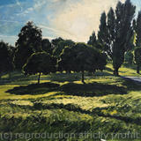 Summer evening, Brockwell Park