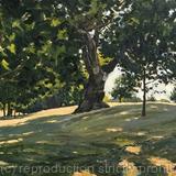 Summer Heat, Brockwell Park